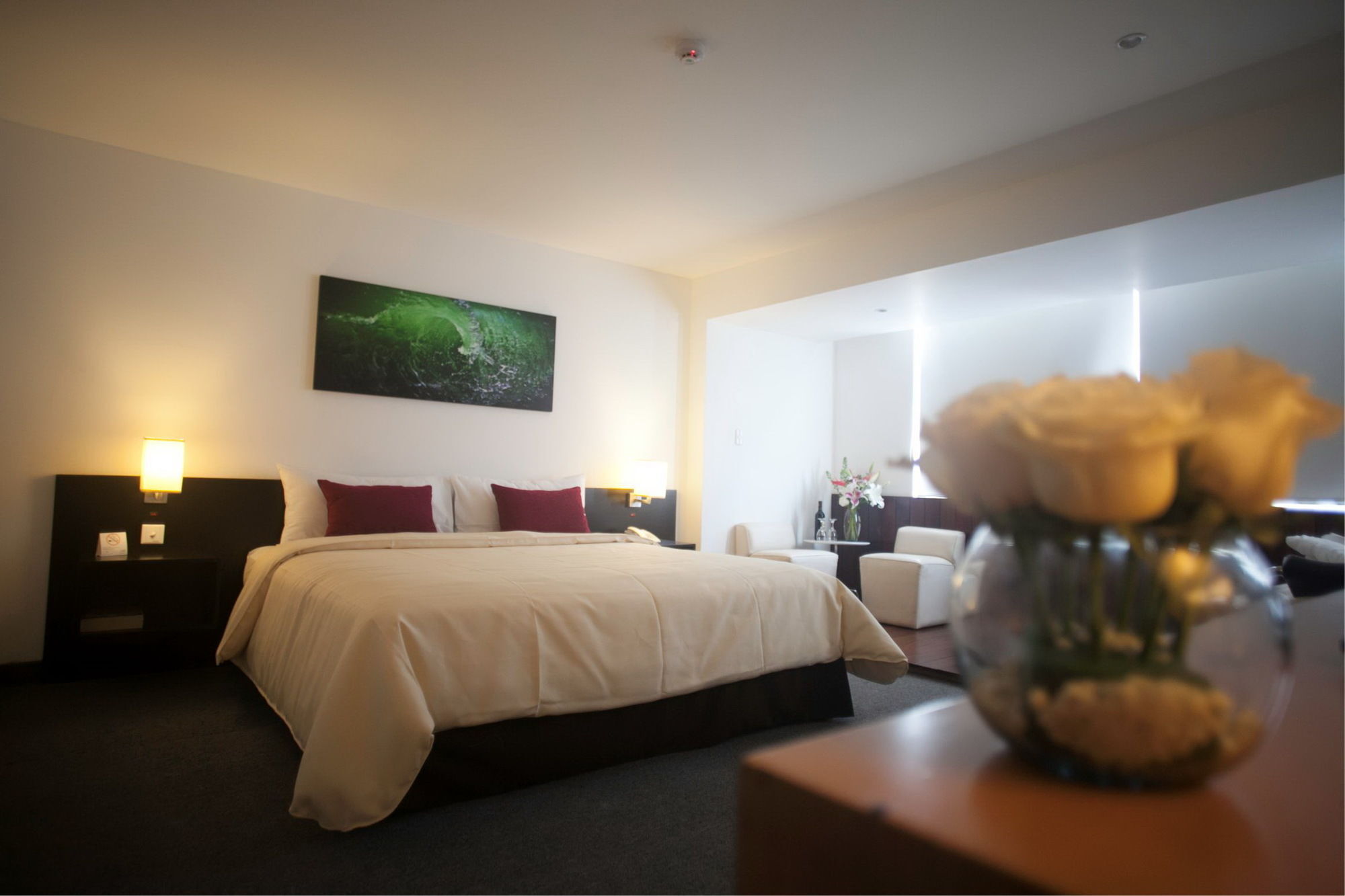Palmetto Hotel Business San Borja Lima Zewnętrze zdjęcie